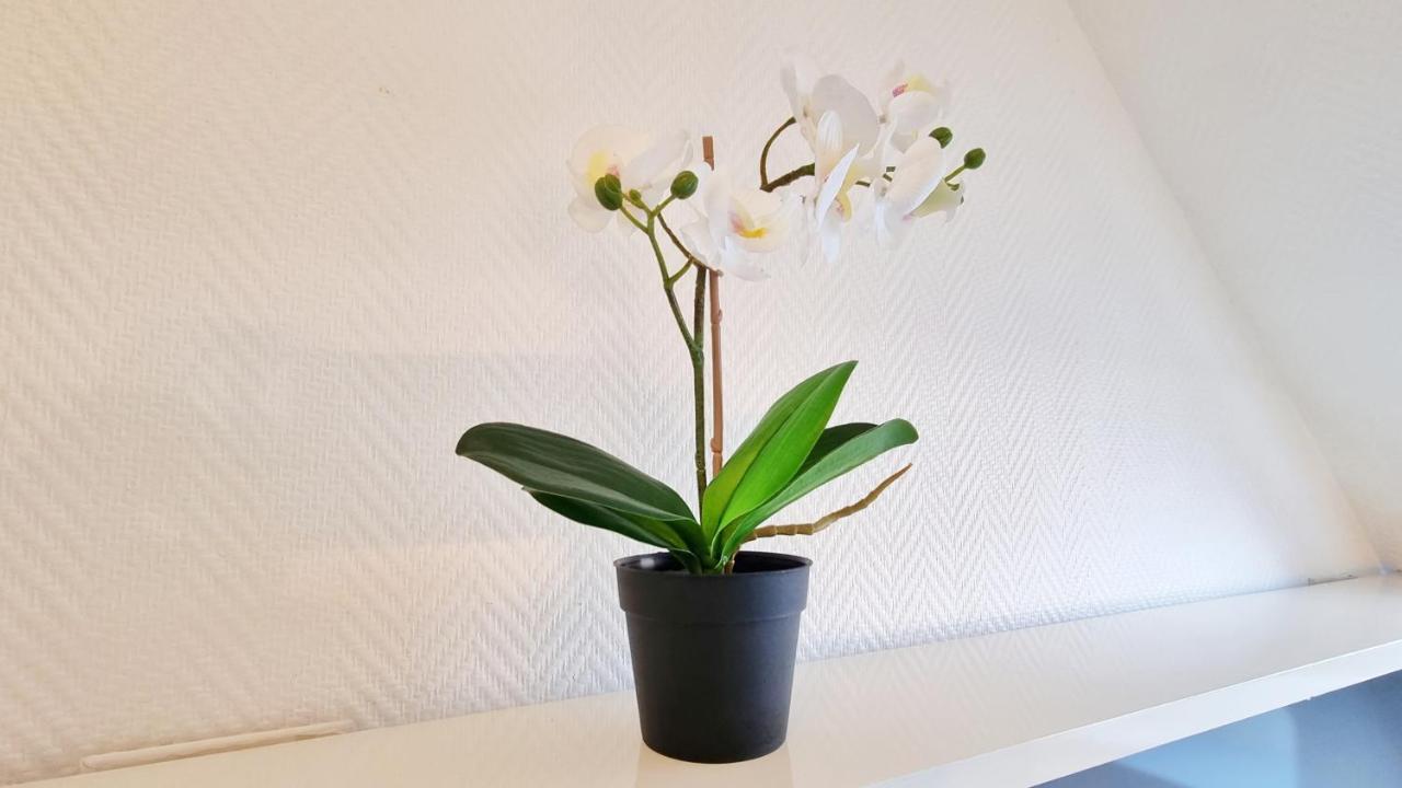 Apartment L'evasion - Balcon - Fibre - Calme - Rbnb *